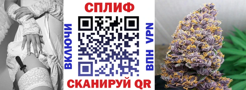 omg как войти  купить   Зубцов  Марихуана сатива 